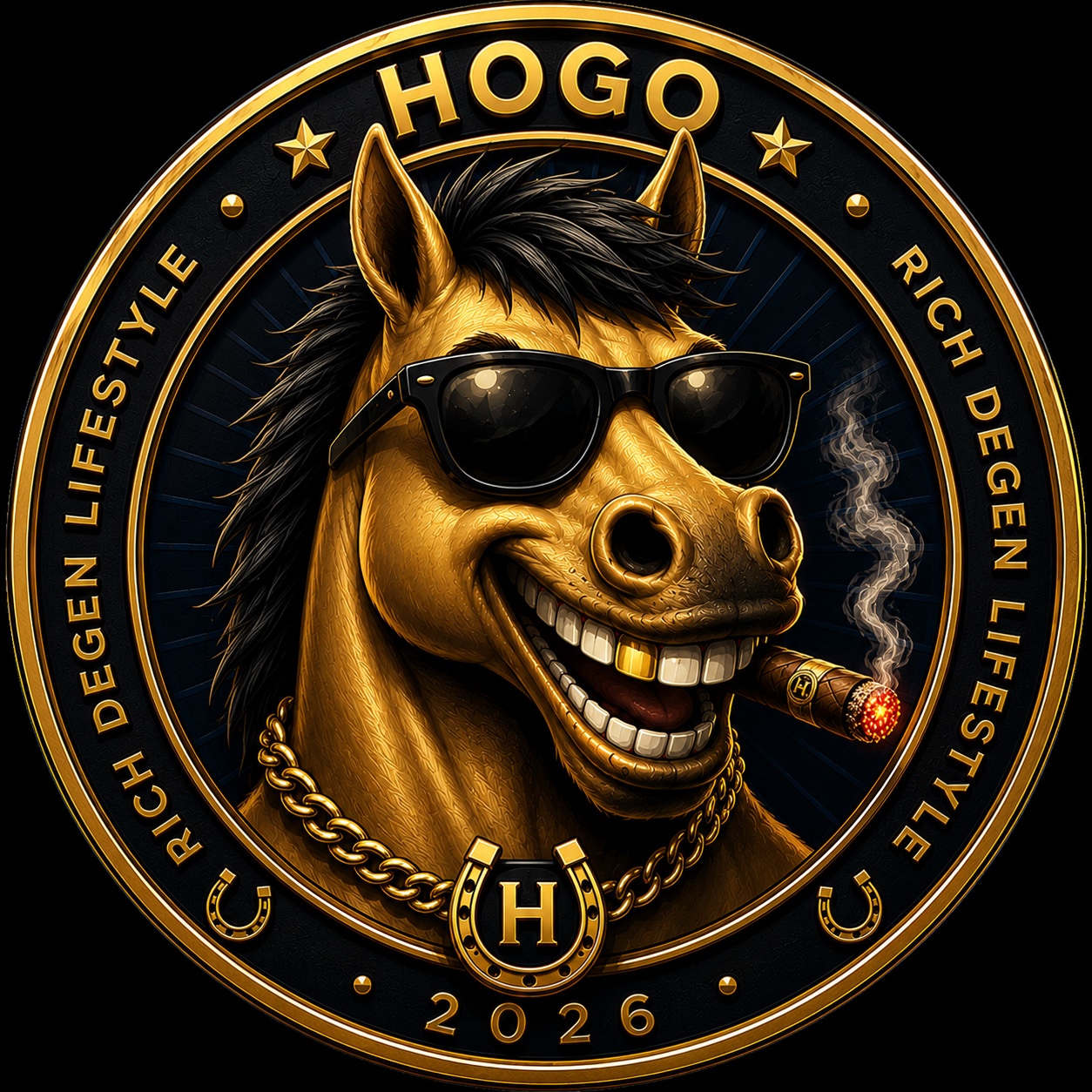 HOGO coin