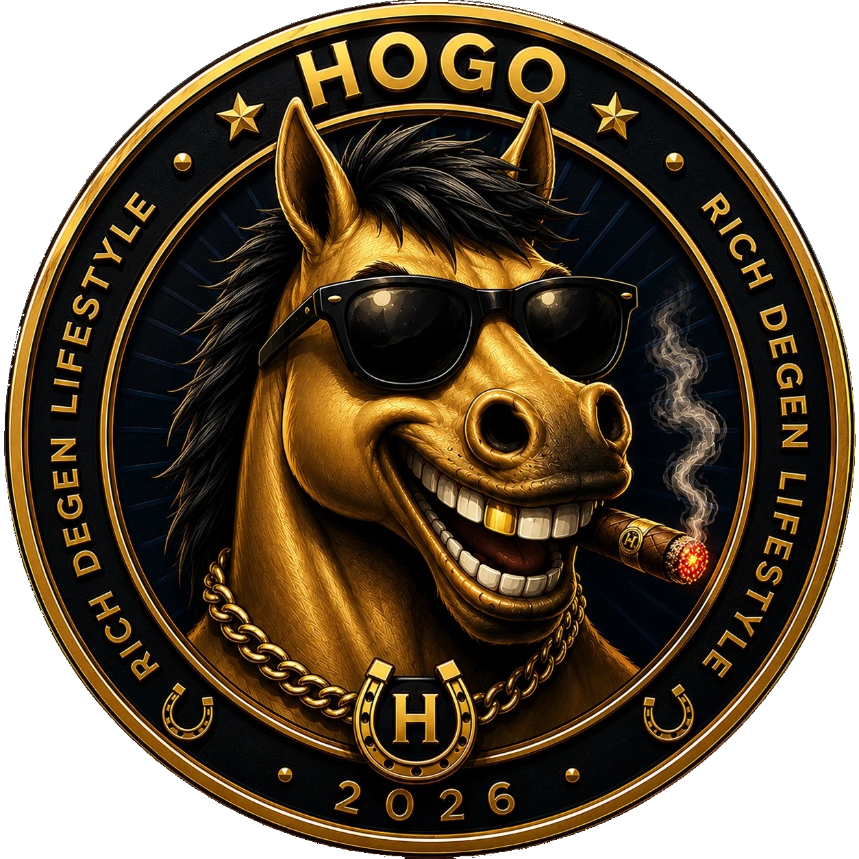 HOGO coin